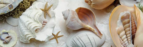 Alan Blaustein: Island Tide Pool III by Alan Blaustein