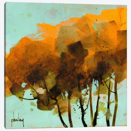 Seven Trees Canvas Print #ICS62} by Paul Bailey Canvas Print