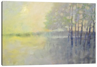Spring Flood Canvas Art Print