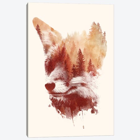 Blind Fox Canvas Print #ICS647} by Robert Farkas Canvas Print