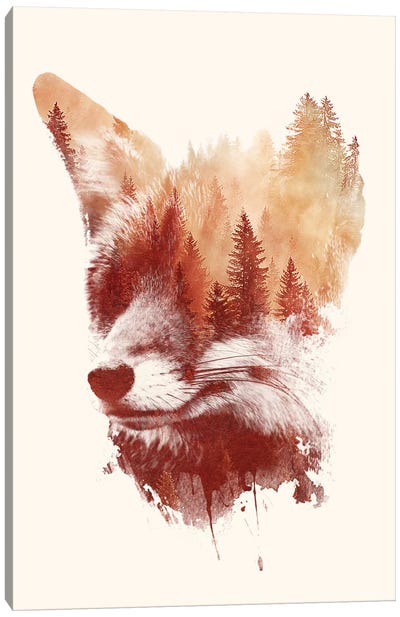 Blind Fox Canvas Art Print - Pine Tree Art