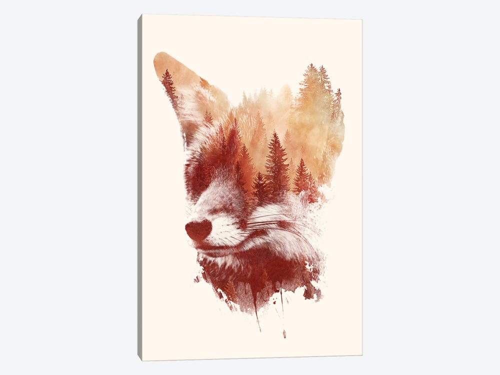 Blind Fox by Robert Farkas 1-piece Art Print