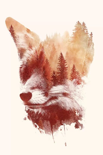 Foxes: Blind Fox by Robert Farkas
