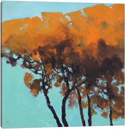 Five Trees Canvas Art Print