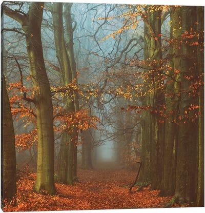 Path Of The Mystics Canvas Art Print - Autumn & Thanksgiving