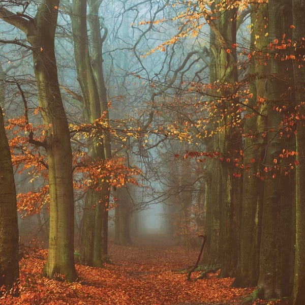 Autumn: Path Of The Mystics by Lars van de Goor