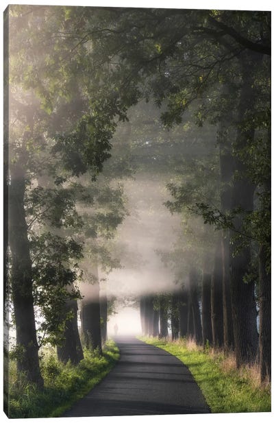 Rays Of Fog Canvas Art Print - 3-Piece Scenic & Landscape Art