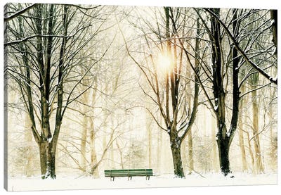 Too Cold To Sit Canvas Art Print