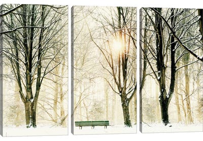 Too Cold To Sit Canvas Art Print - 3-Piece Tree Art