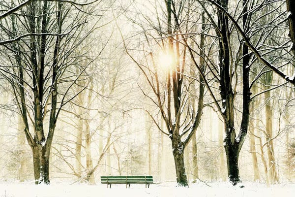 Snowscapes: Too Cold To Sit by Lars van de Goor