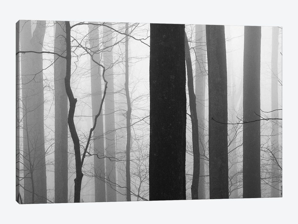 Forest Code 1-piece Art Print