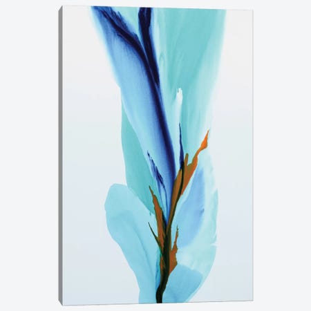 Spring's Calling Card Canvas Print #ICS687} by Patricia Coulter Art Print
