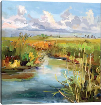 Afternoon Skies Canvas Art Print - River, Creek & Stream Art