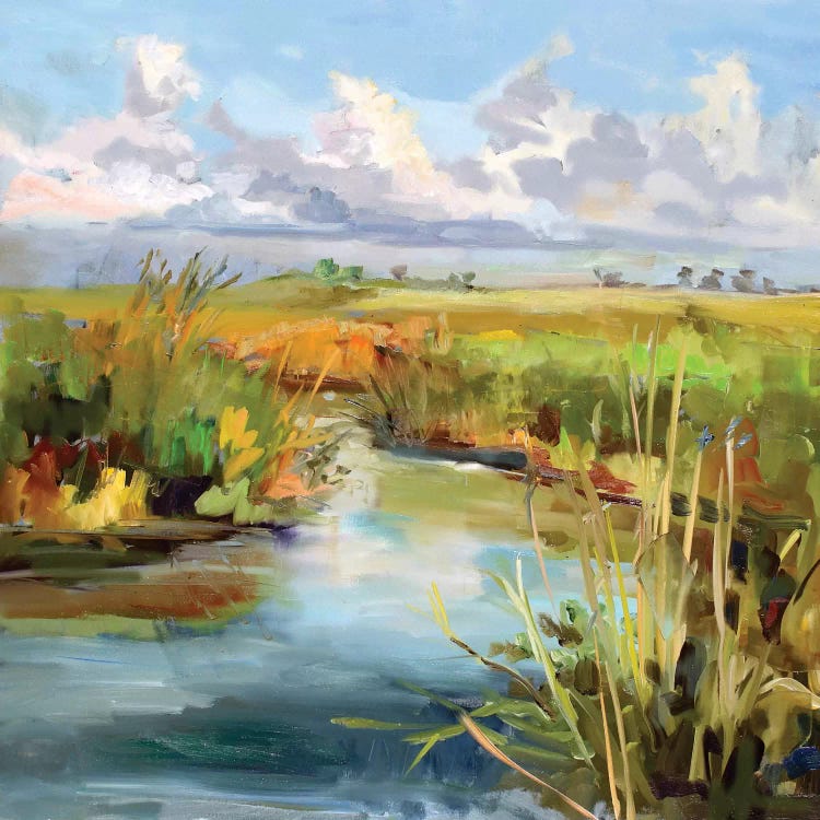 Afternoon Skies by Carol Hallock wall art