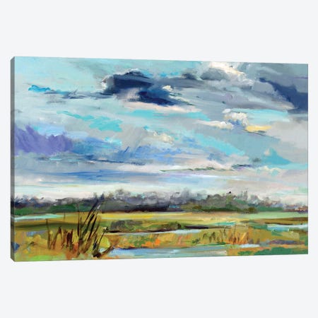 Marsh Skies Canvas Print #ICS709} by Carol Hallock Canvas Art Print