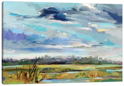 Marsh Skies Canvas Art Print