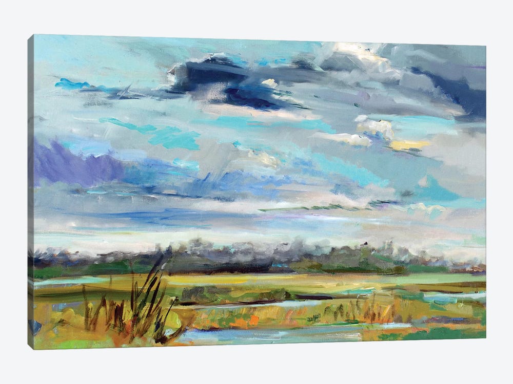 Marsh Skies by Carol Hallock 1-piece Canvas Art