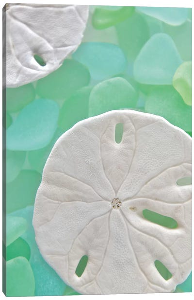 Seaglass 5 Canvas Art Print - Home Staging
