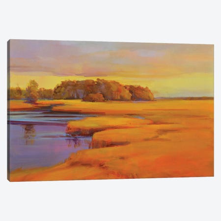Autumn Marsh Canvas Print #ICS716} by Holly Ready Canvas Art Print