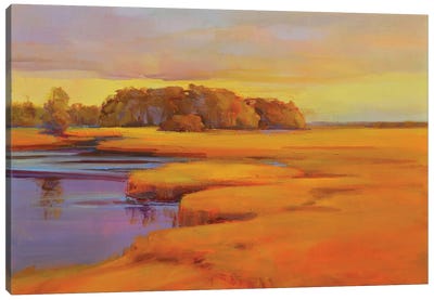 Autumn Marsh Canvas Art Print - Marsh & Swamp Art