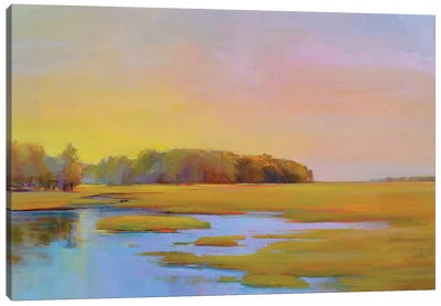 Summer Marsh II Canvas Art Print - Marsh & Swamp Art