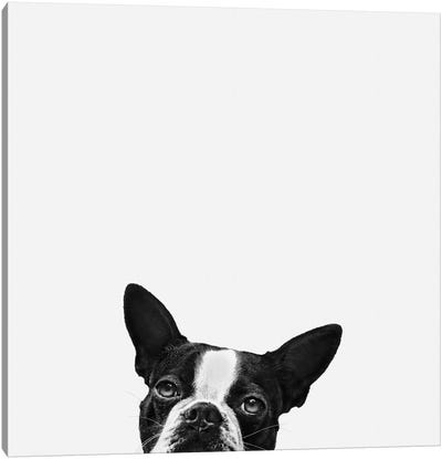 Loyalty Canvas Art Print - Black & White Animal Art
