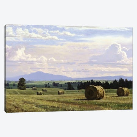 Fresh Cut Hay Canvas Print #ICS721} by Jay Moore Canvas Print