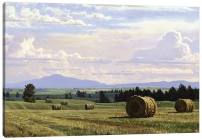 Fresh Cut Hay Canvas Art Print - Countryside Art