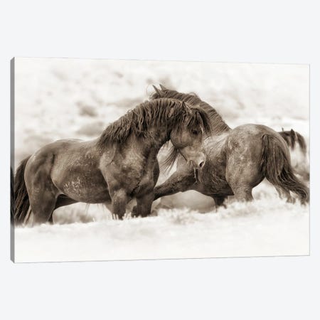Brothers Canvas Print #ICS724} by Lisa Dearing Canvas Artwork