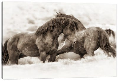 Brothers Canvas Art Print - Sepia Photography