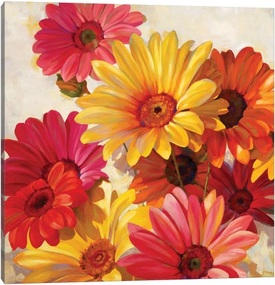Daisies For Spring Canvas Art Print - Emma Styles