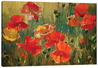 Poppy Fields Canvas Art Print - Garden & Floral Landscape Art