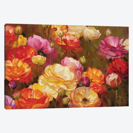 Ranunculus Garden Canvas Print #ICS755} by Emma Styles Art Print