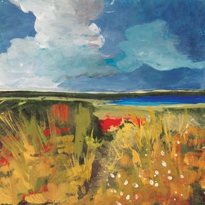 Spring Wildflowers by Jan Weiss canvas print