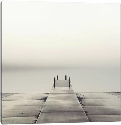 Pier and Seagull Canvas Art Print - Nicholas Bell Photography