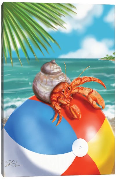 Beach Friends - Hermit Crab Canvas Art Print