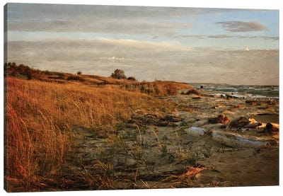 Autumn At The Mouth Of The Big Sable Canvas Art Print