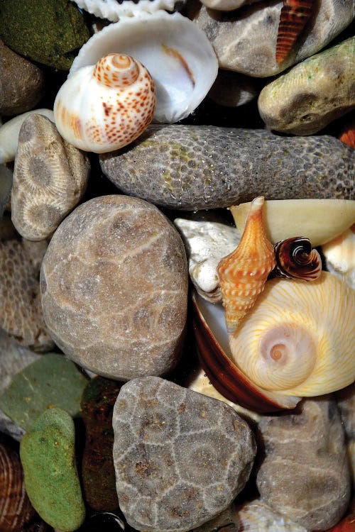 Petoskey Stones II