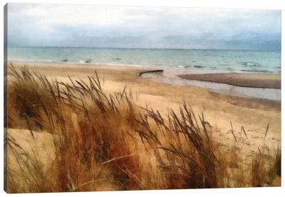 Pier Cove Beach With Autumn Grasses Canvas Art Print