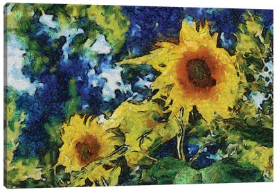 Sunflowers Canvas Art Print