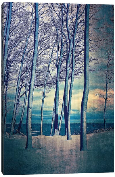 Winter At Lake Michigan Canvas Art Print