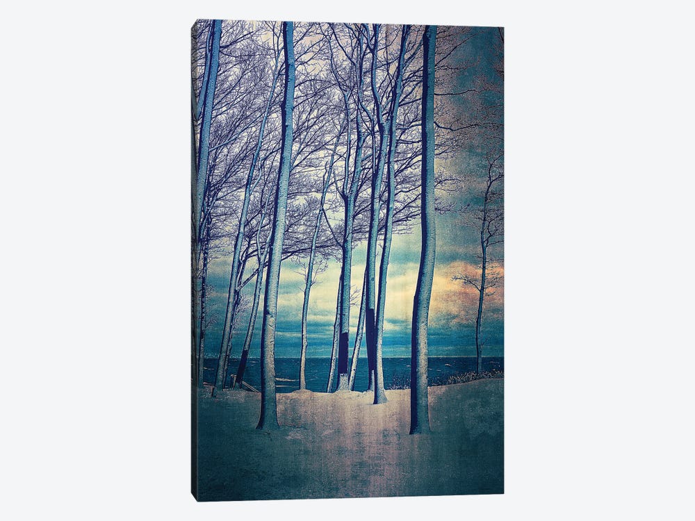 Winter At Lake Michigan by Michelle Calkins 1-piece Canvas Art