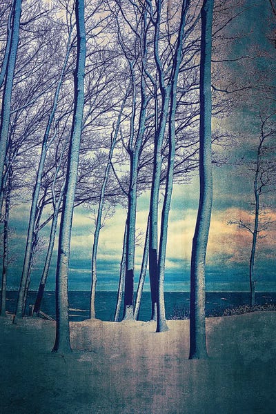 Michigan: Winter At Lake Michigan by Michelle Calkins