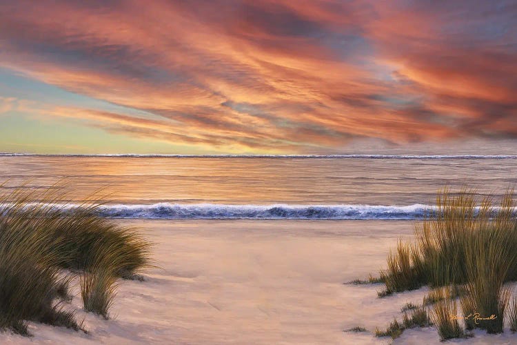Beach Solitude by Diane Romanello wall art