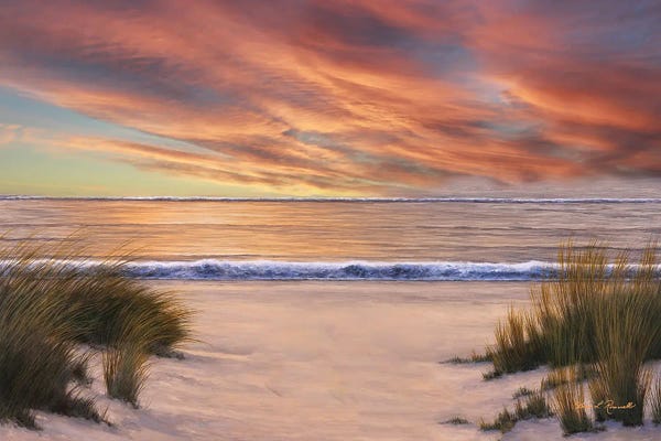 Beach Solitude