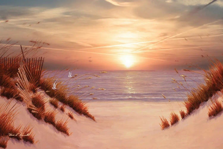 Dunes by Diane Romanello wall art
