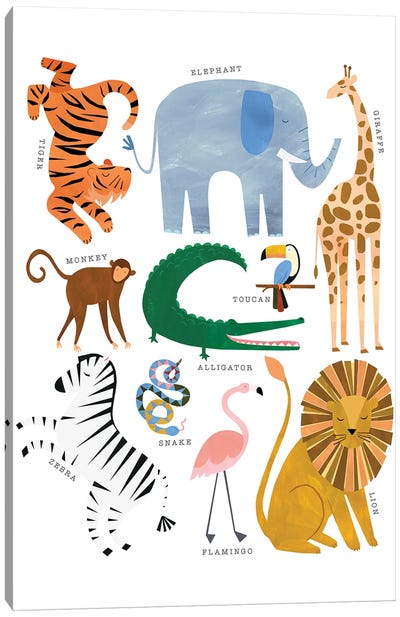 Animal Chart Canvas Art Print - Zebra Art