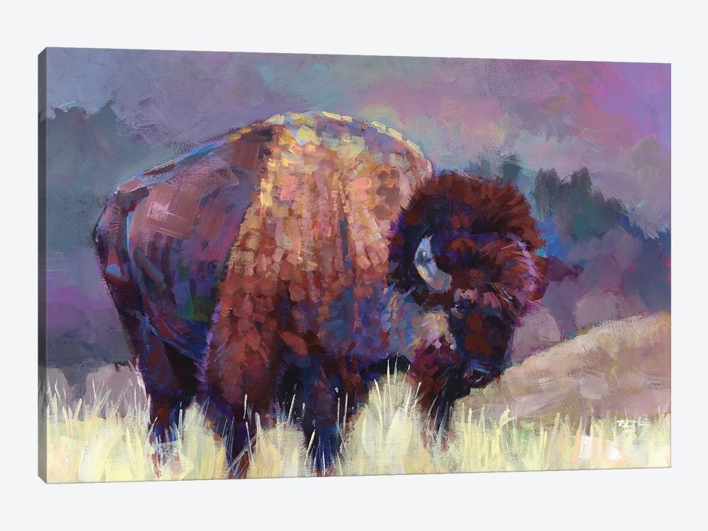 Buffalo Roam by Robert Jackson 1-piece Canvas Art Print