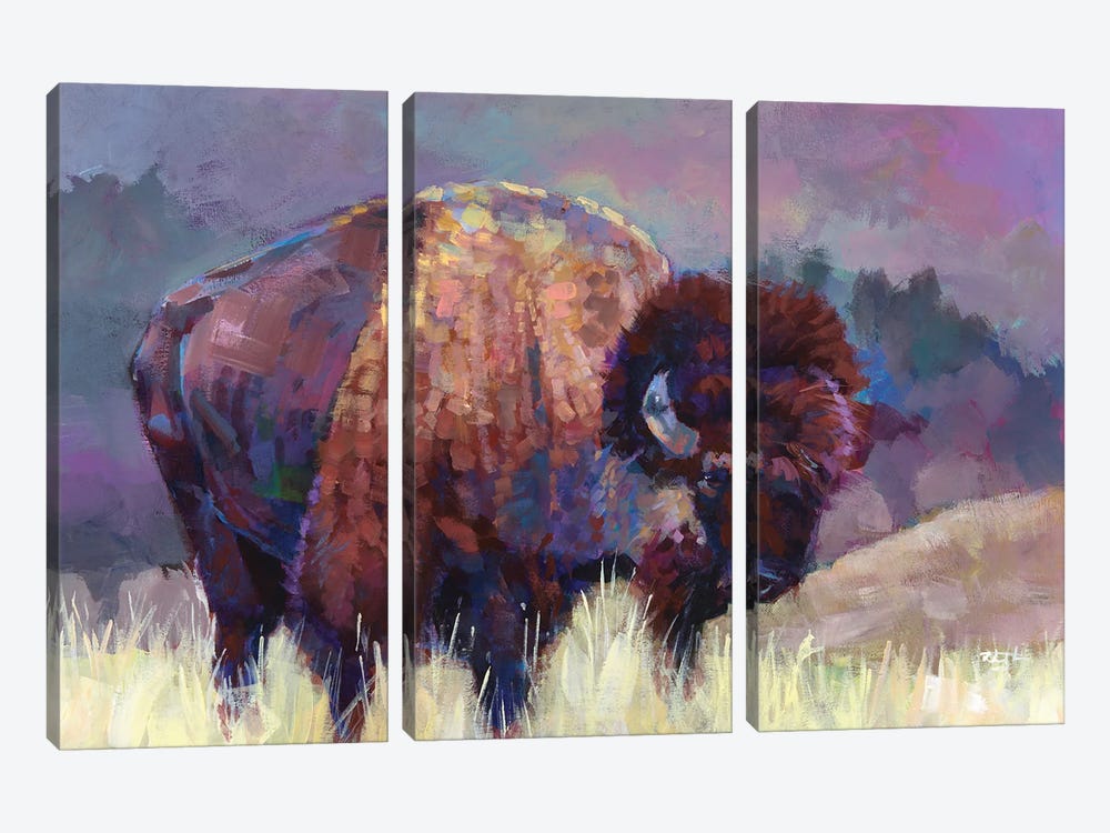 Buffalo Roam by Robert Jackson 3-piece Canvas Art Print