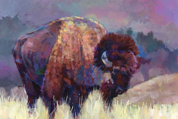 Bison & Buffaloes: Buffalo Roam by Robert Jackson